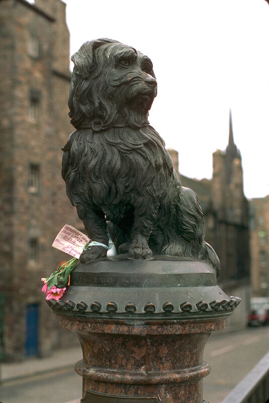 Statue of a dog in Edinburgh