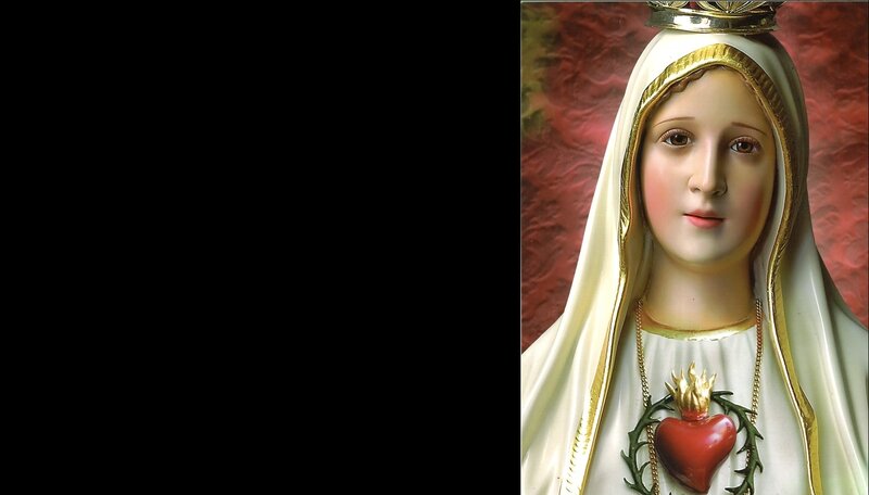 Statue of Virgin Mary — White, Serene, Photograph, Crown