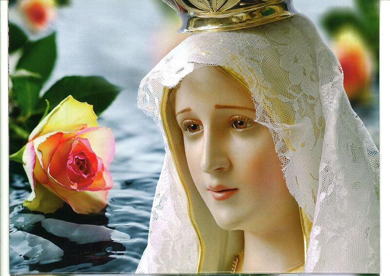 Statue of Virgin Mary — White, Serene, Photograph, Rose