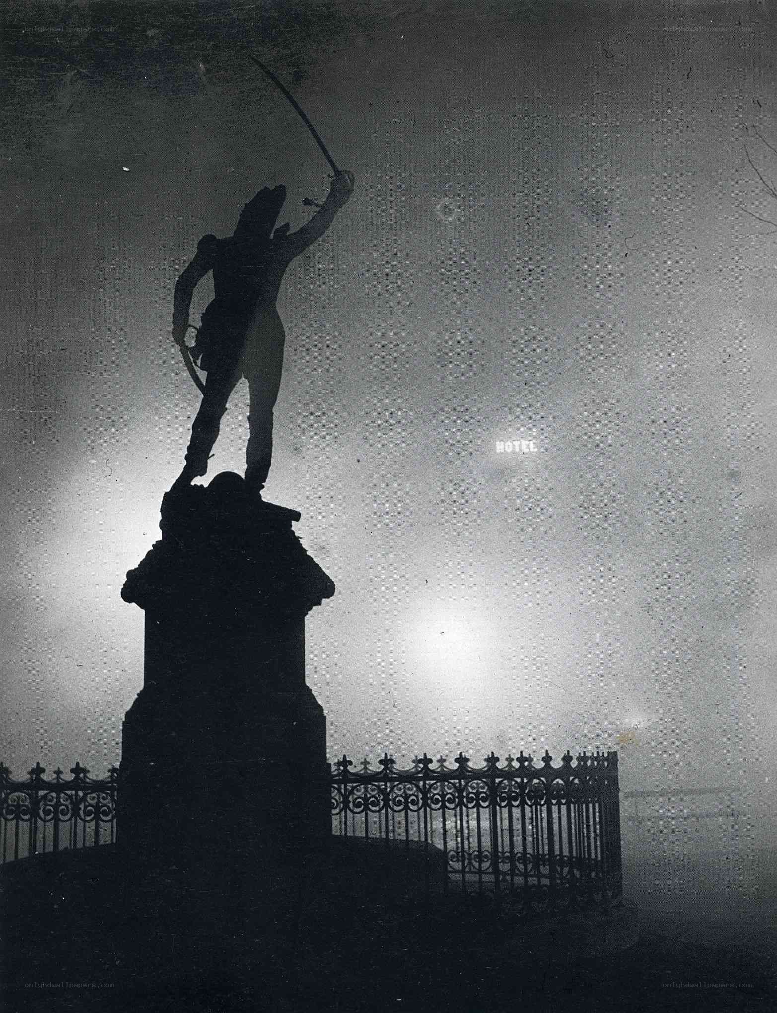 Statue silhouette at night