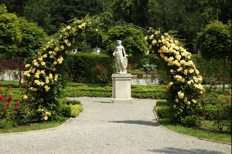 Statue under Rose Arch
