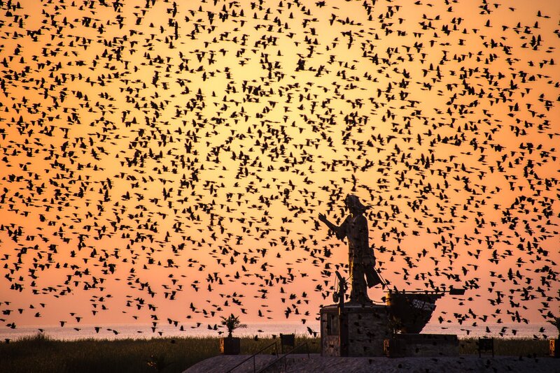 Statue with Birds — Orange