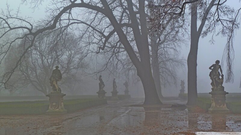 Statues in Foggy Park
