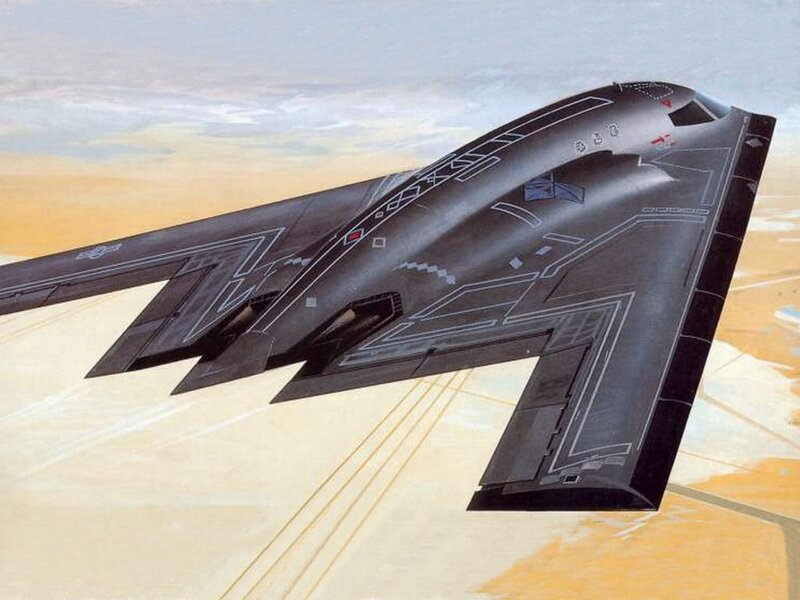 Stealth Bomber Aircraft — Black, Dramatic, Afternoon