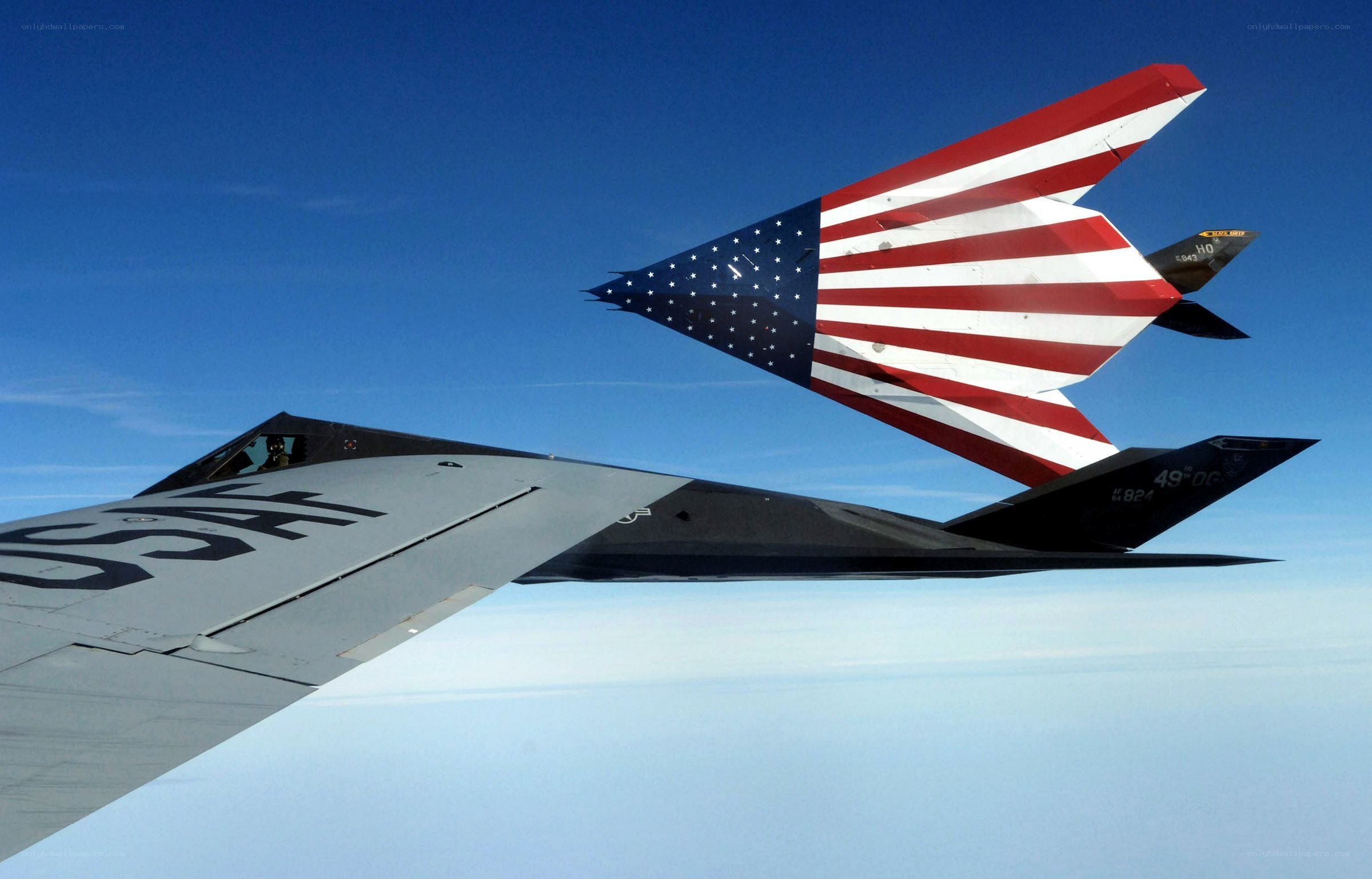 Stealth bomber with flag tail