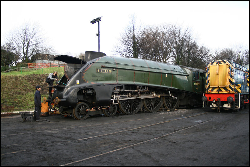Steam locomotive Bittern on tracks