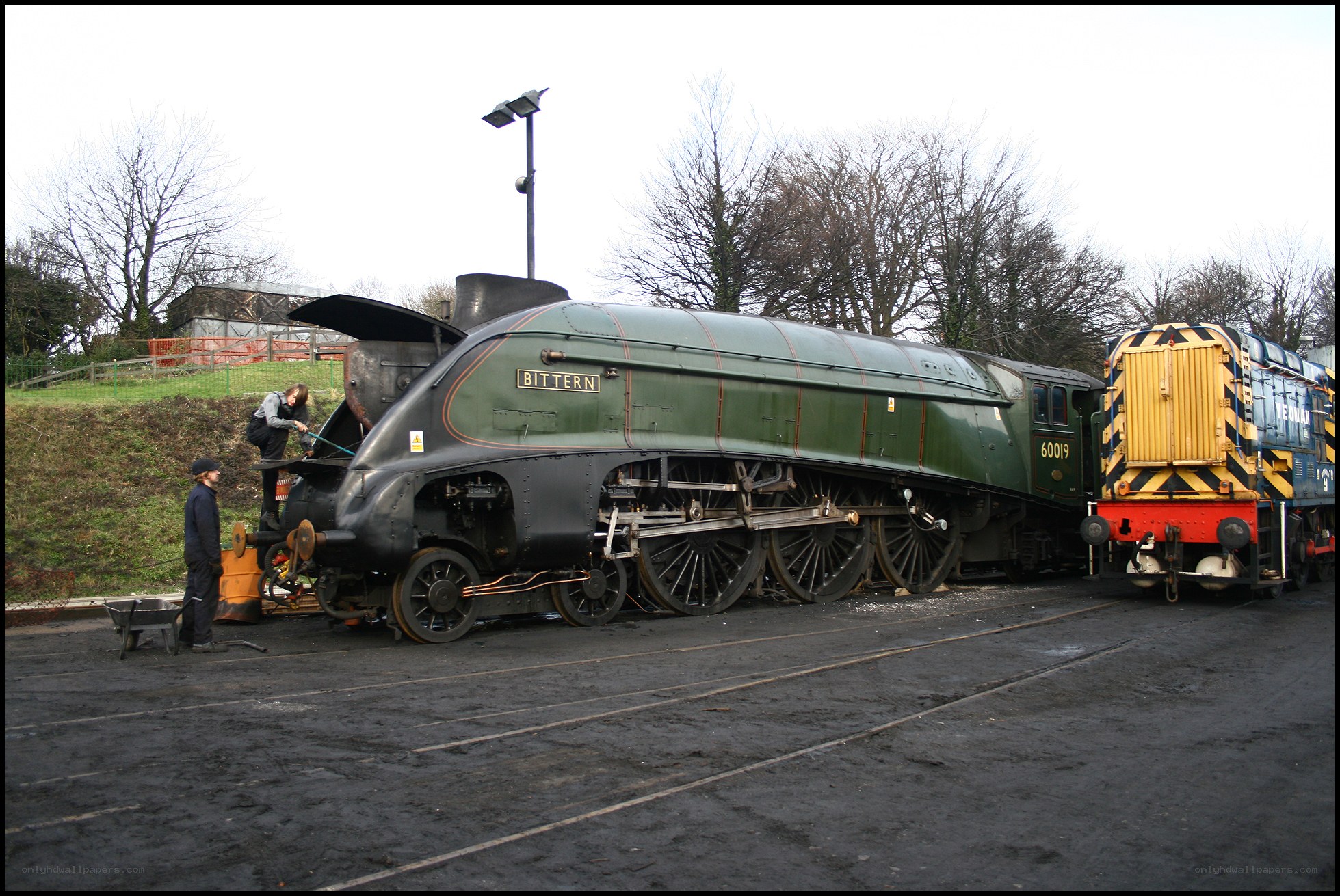 Steam locomotive Bittern on tracks
