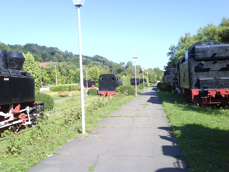 Steam Locomotives in Park