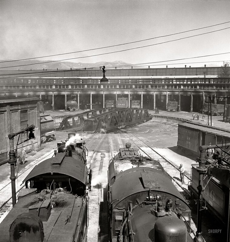 Steam Locomotives in Yard — Black