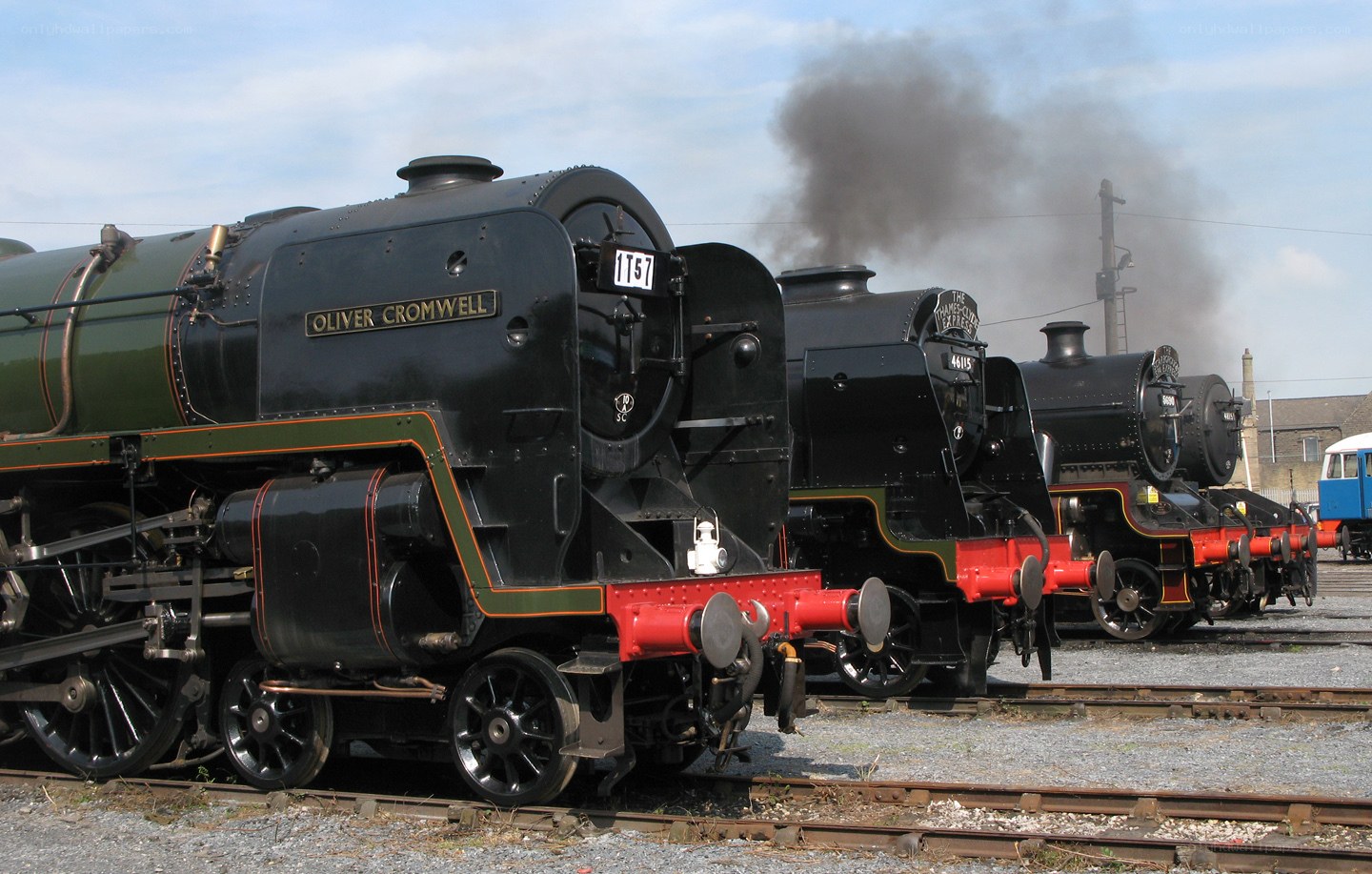Steam locomotives on display