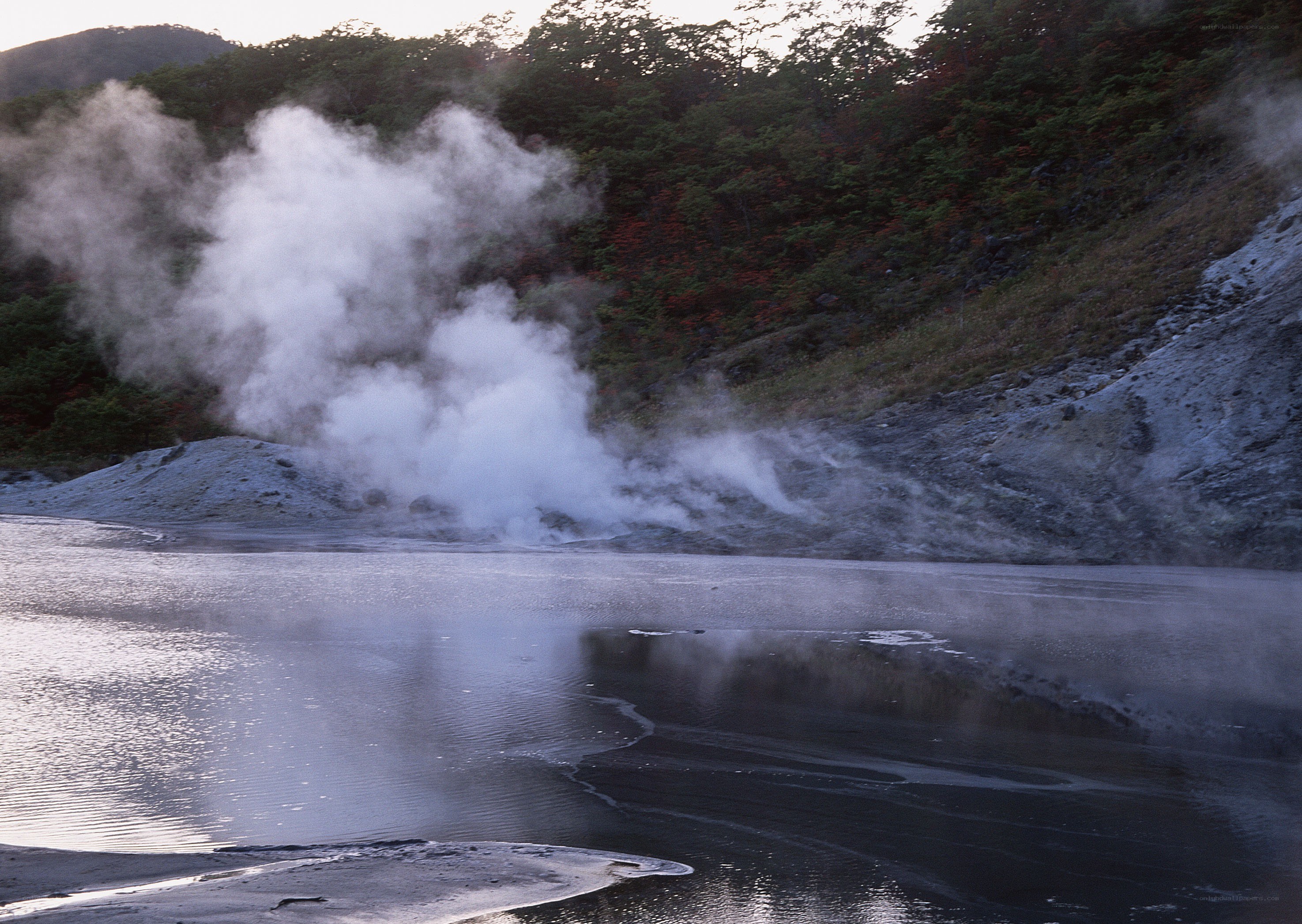 Steam rising from a geothermal area