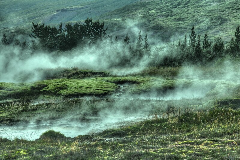 Steam Rising from Mossy Ground
