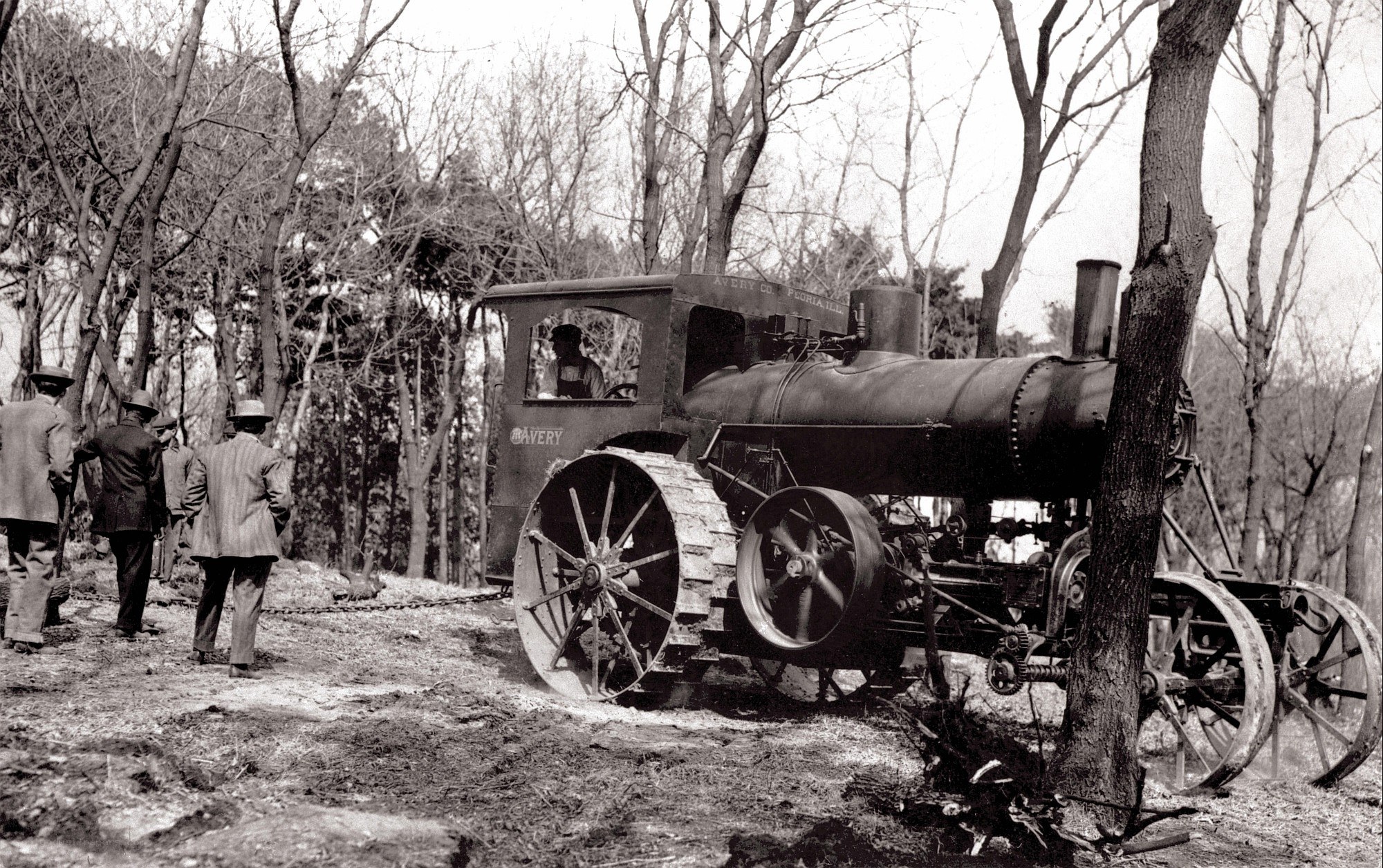 Steam tractor in forest clearing