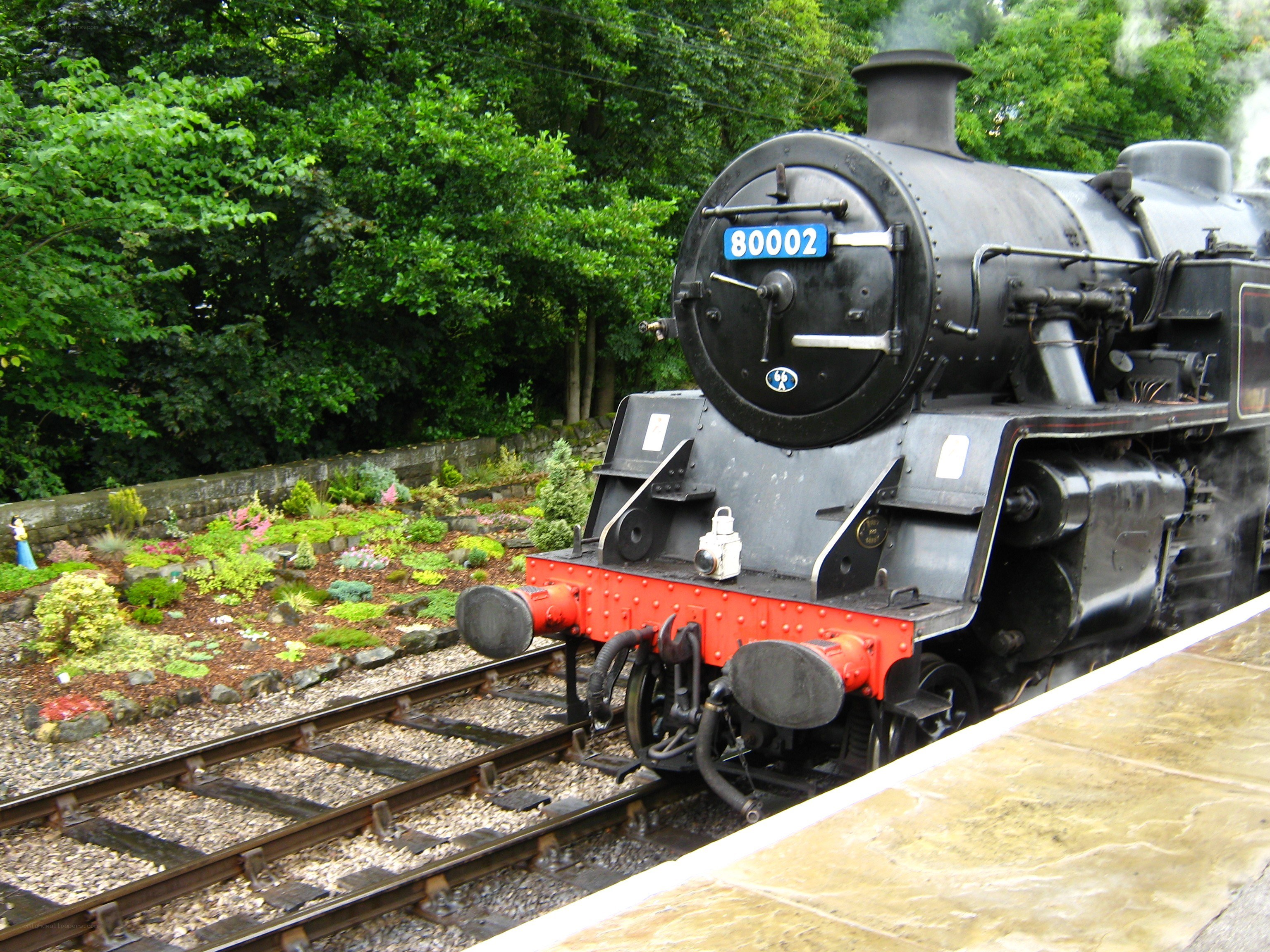 Steam train at a station