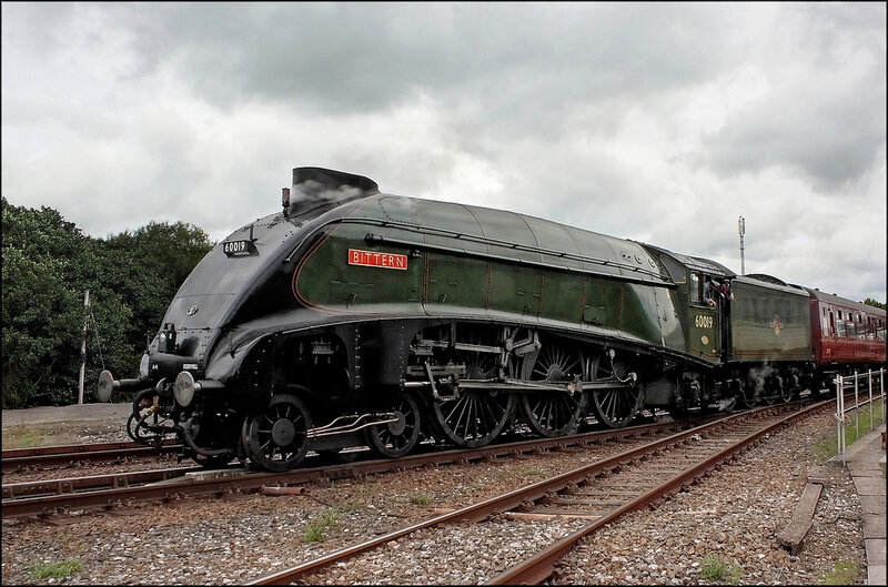 Steam train Bittern on tracks