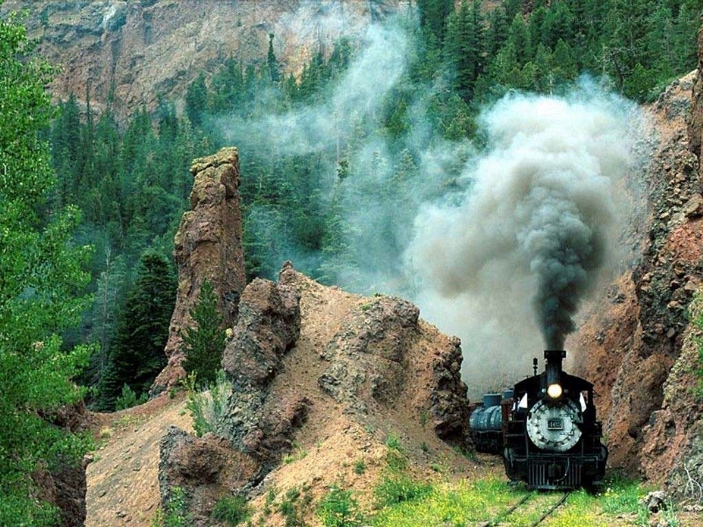 Steam train in a forest canyon