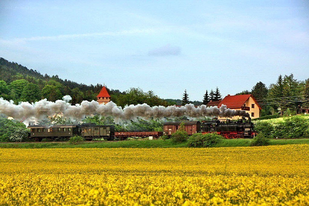 Steam train in a yellow field