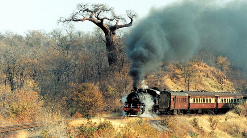 Steam train in African savanna