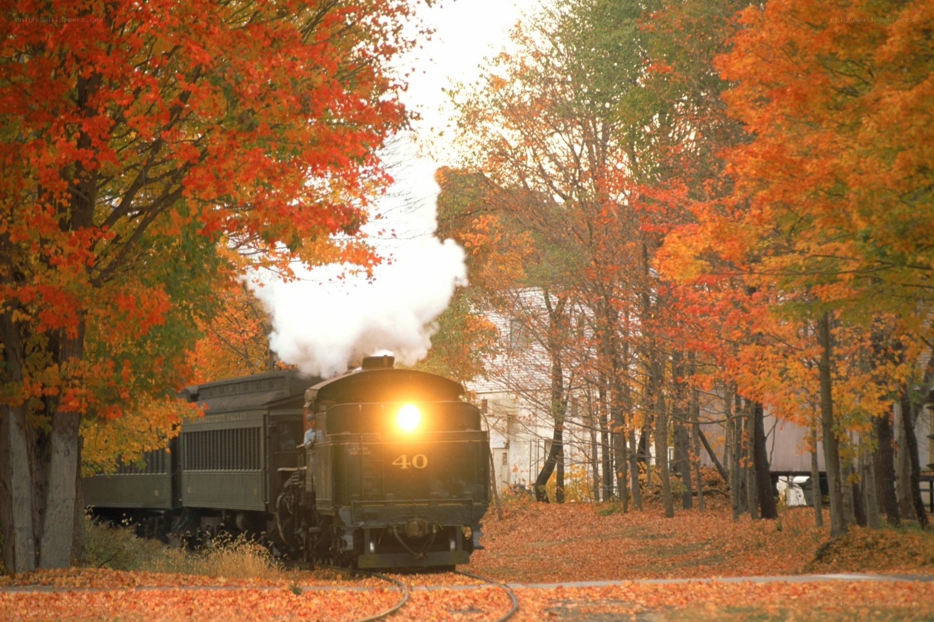 Steam train in autumn foliage