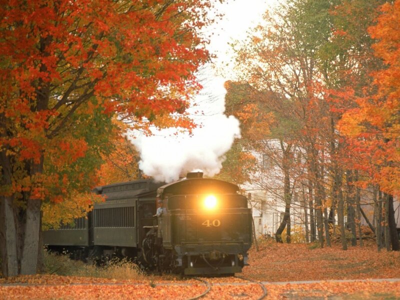 Steam train in autumn foliage