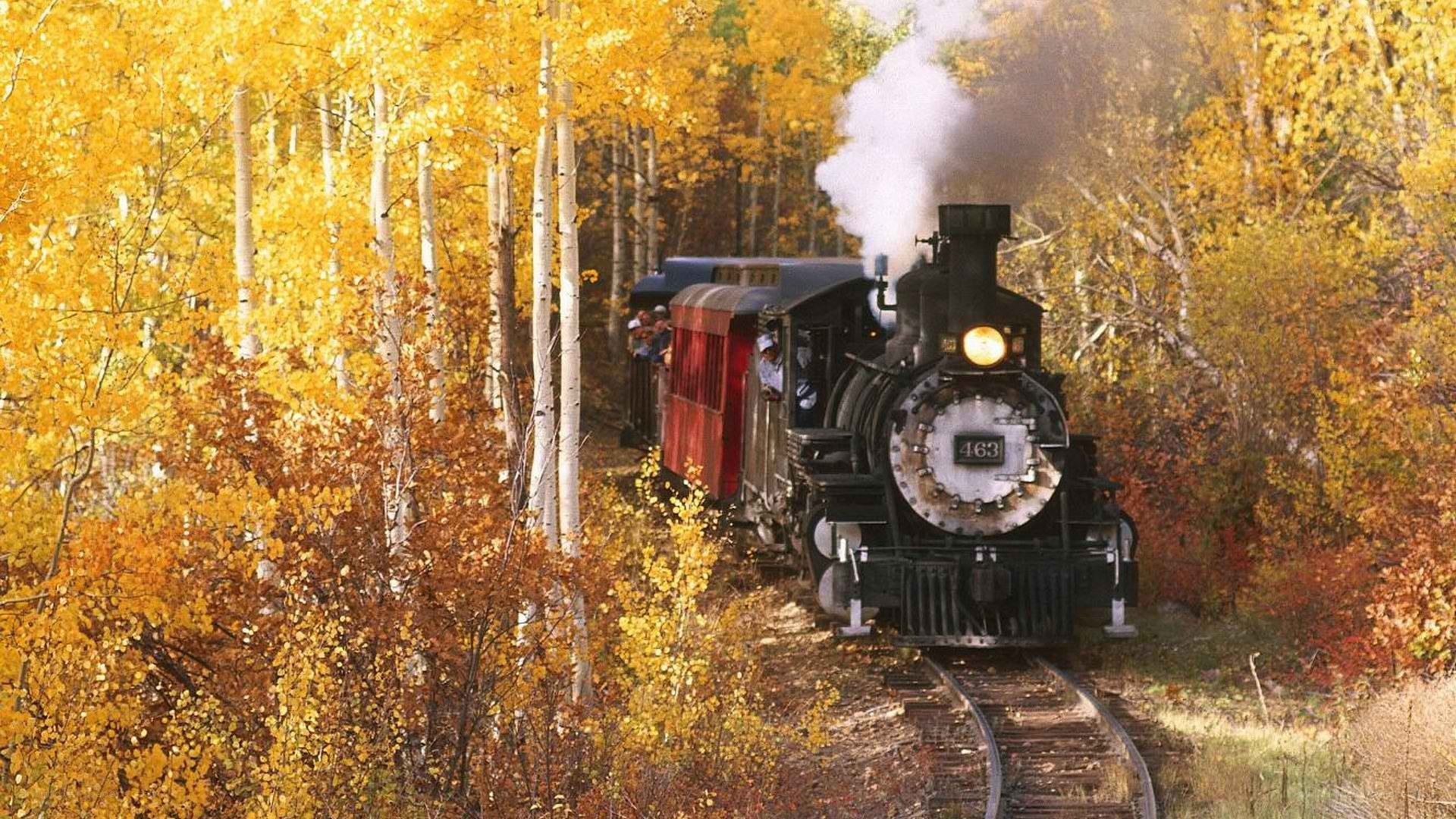 Steam train in autumn forest