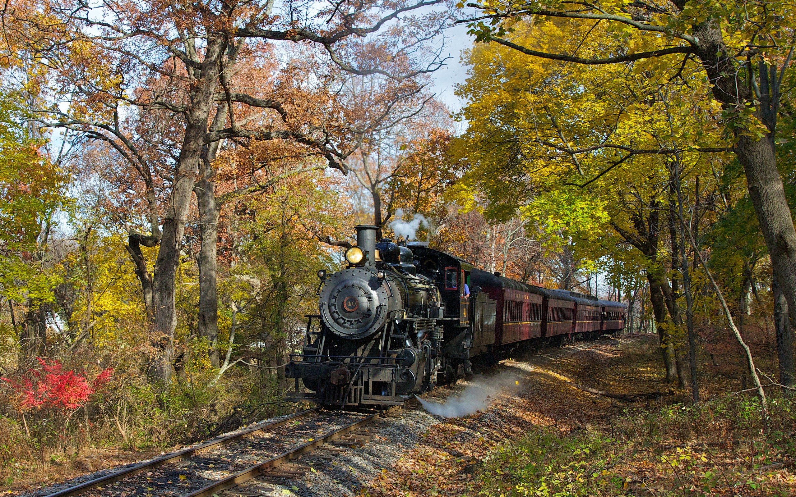 Steam train in autumn forest