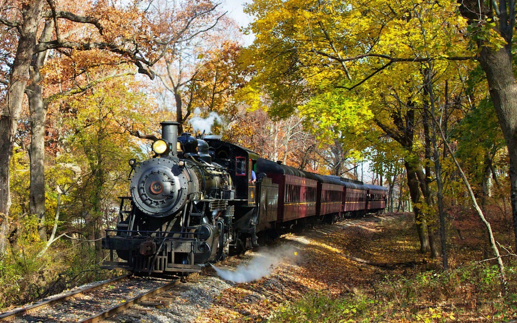Steam train in autumn forest