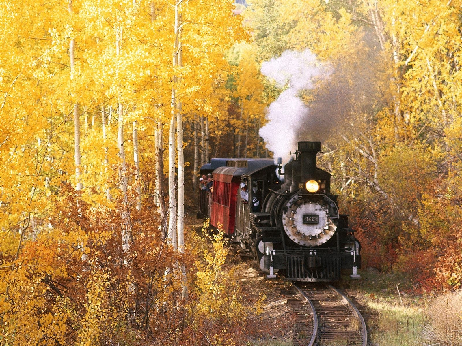 Steam train in autumn forest