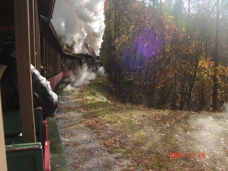 Steam train in autumn forest