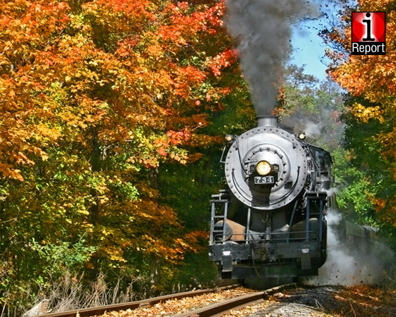 Steam train in autumn forest