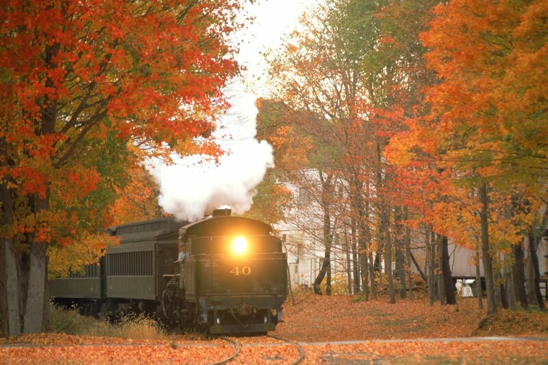 Steam Train in Autumn — Orange, Serene, Photograph, Trees, Leaves