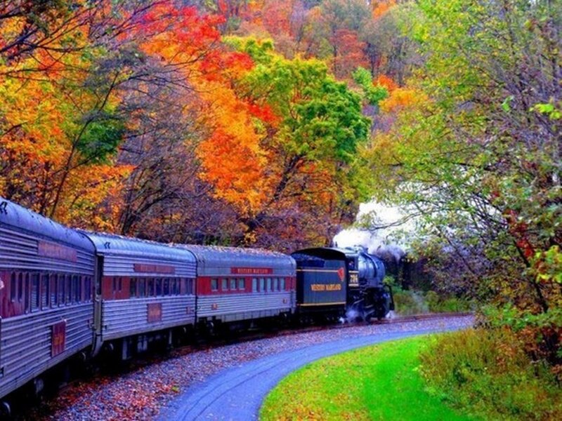 Steam Train in Autumn — Orange, Serene