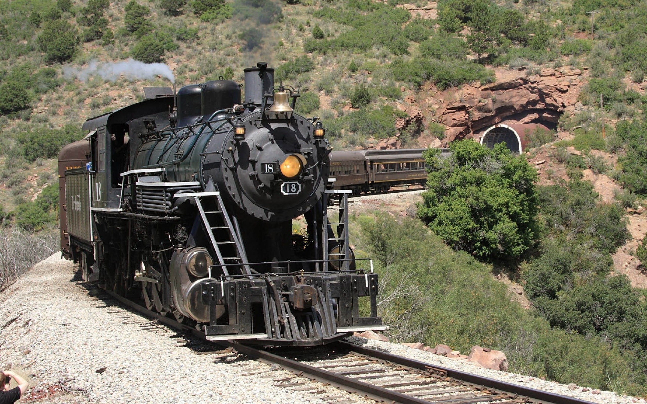 Steam train in canyon