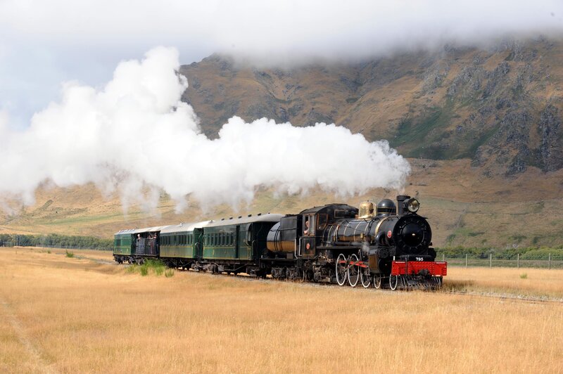 Steam Train in Field — Brown, Serene, Afternoon