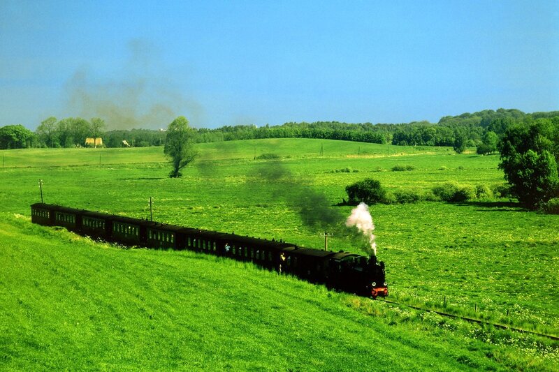 Steam Train in Field — Green, Serene, Afternoon, Photograph, Fields, Trees, Smoke