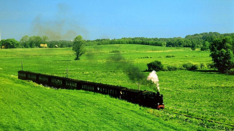 Steam Train in Field — Green, Serene, Afternoon