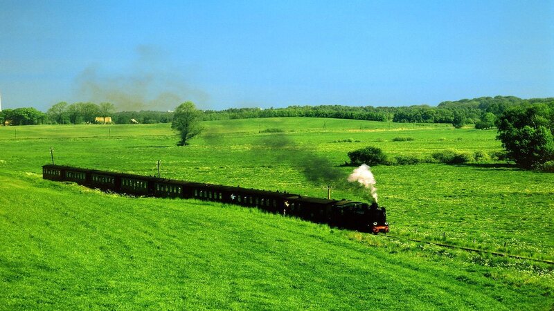 Steam Train in Field — Green, Serene