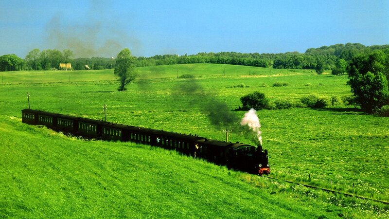 Steam Train in Field — Green