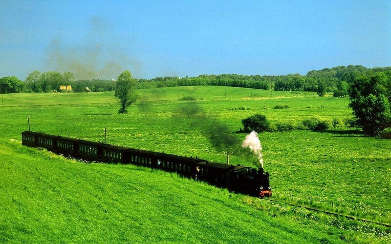 Steam Train in Field