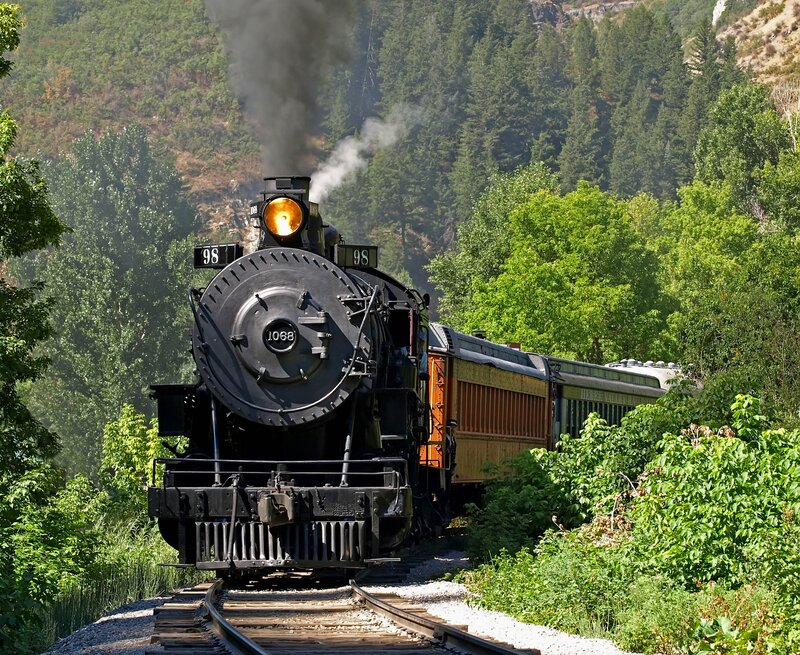 Steam train in forest