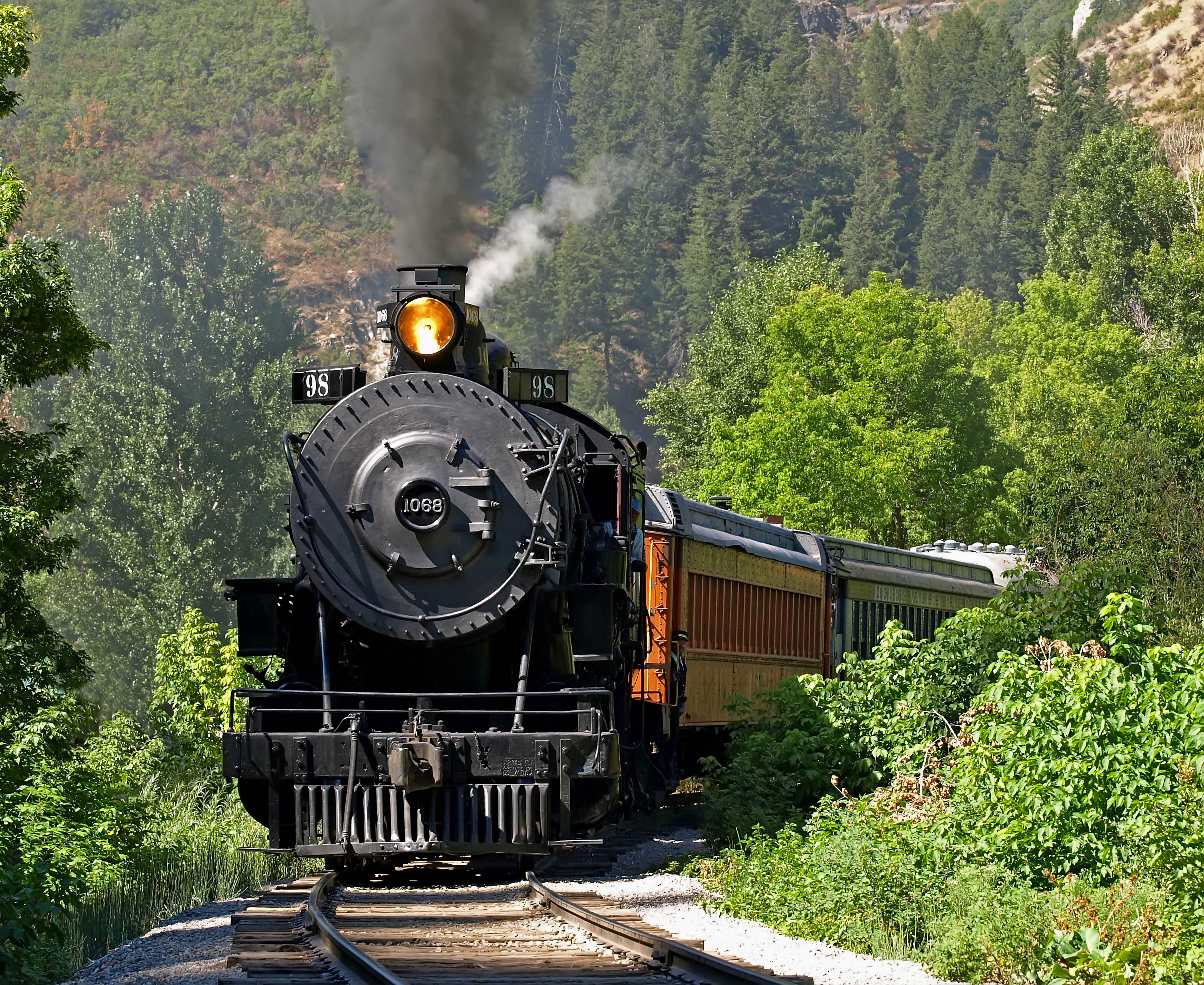 Steam train in forest