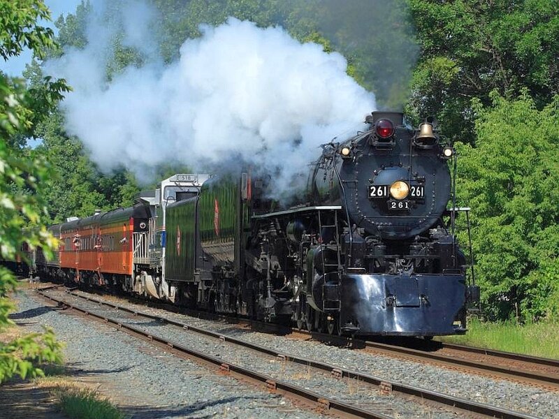 Steam train in forest