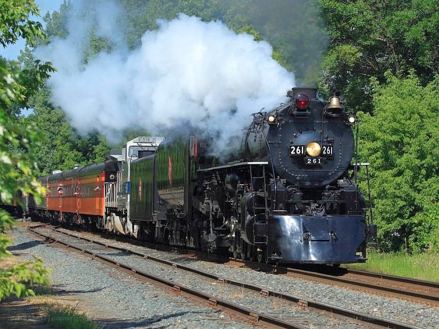 Steam train in forest