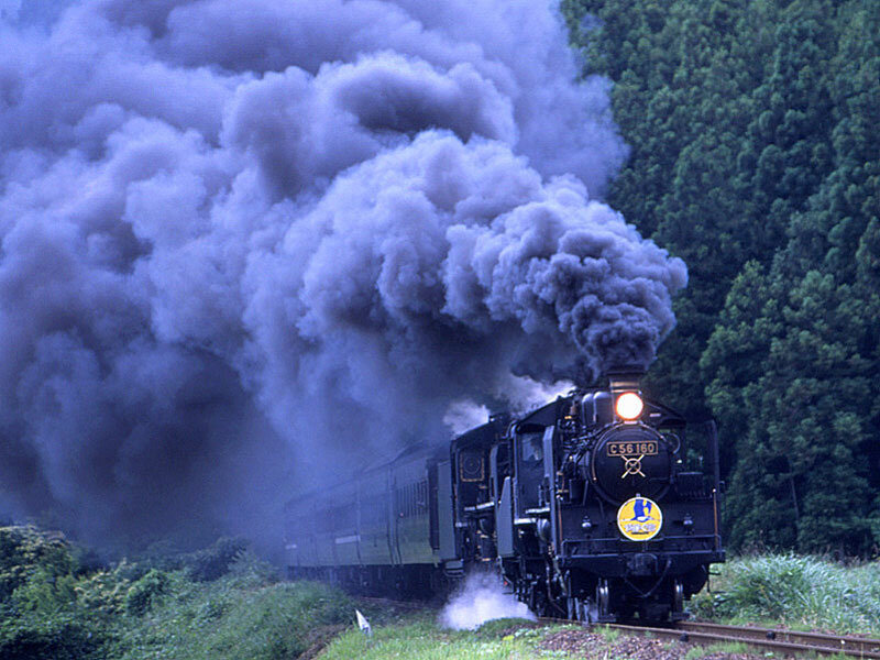 Steam Train in Forest — Black