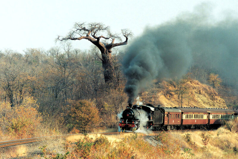 Steam Train in Forest — Brown