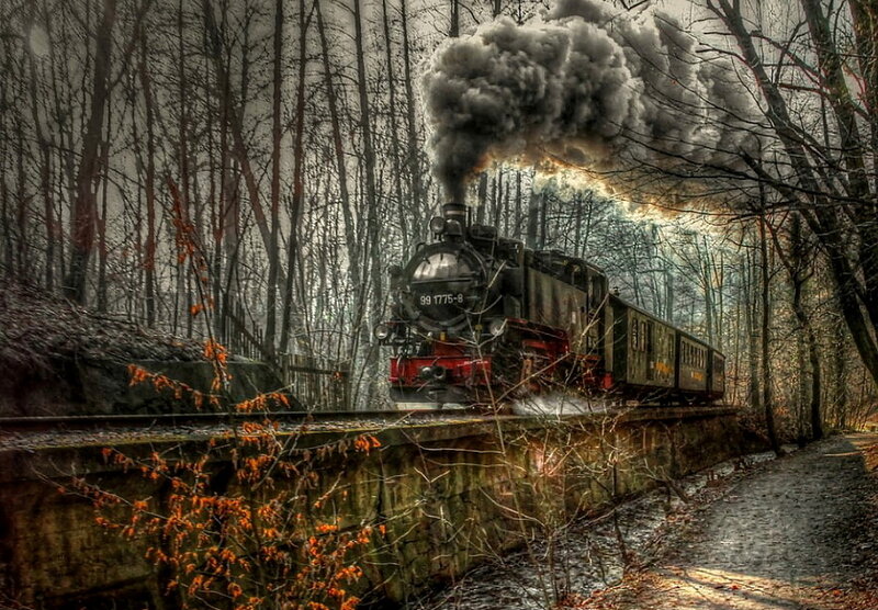 Steam Train in Forest — Gray