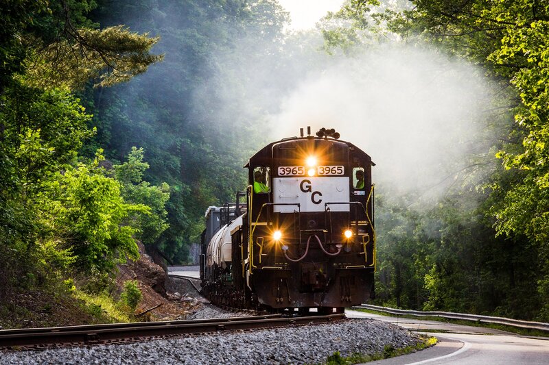 Steam Train in Forest — Green, Dramatic, Morning