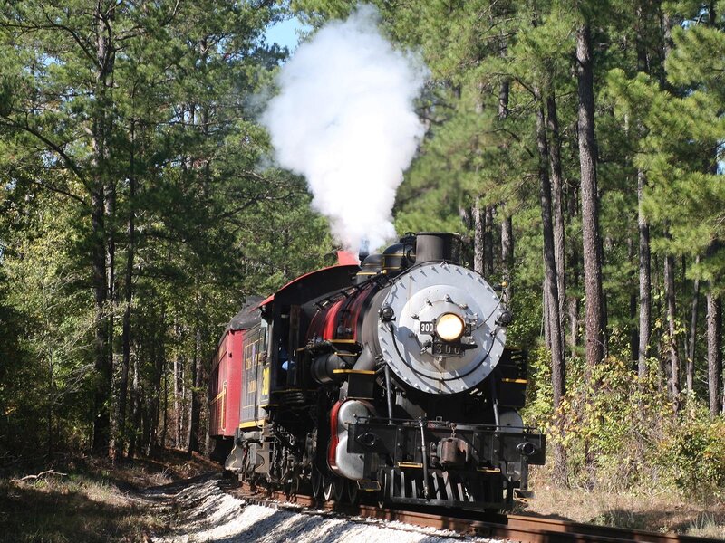 Steam Train in Forest — Green, Serene, Afternoon, Photograph, Trees, Smoke