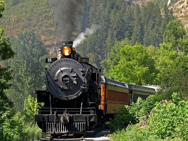 Steam Train in Forest — Green, Serene, Afternoon