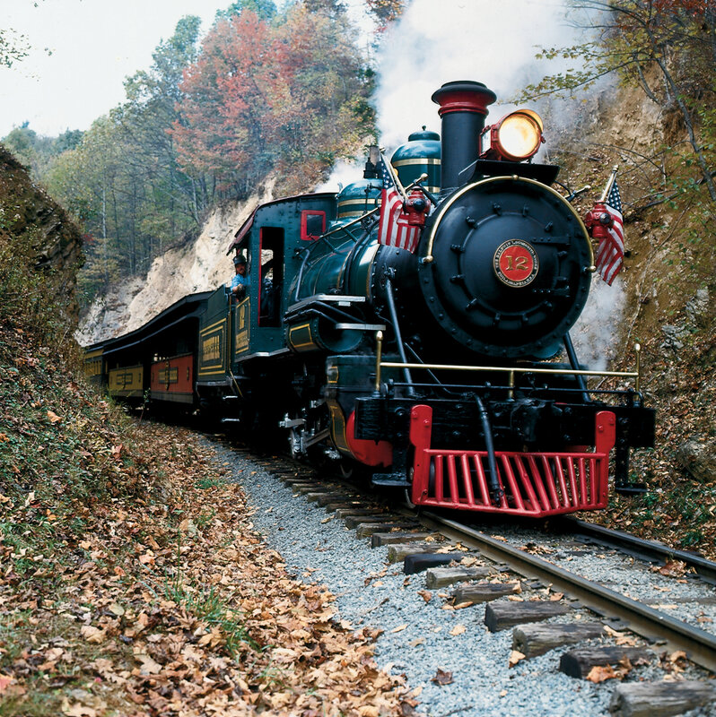 Steam Train in Forest — Green, Serene, Autumn, Photograph, American Flags